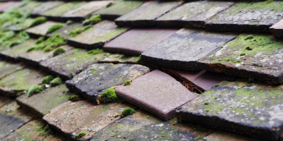 Loudwater roof repair costs